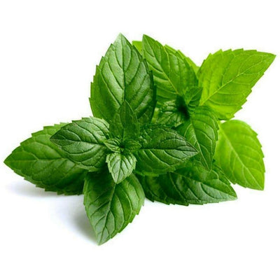 Peppermint Oil